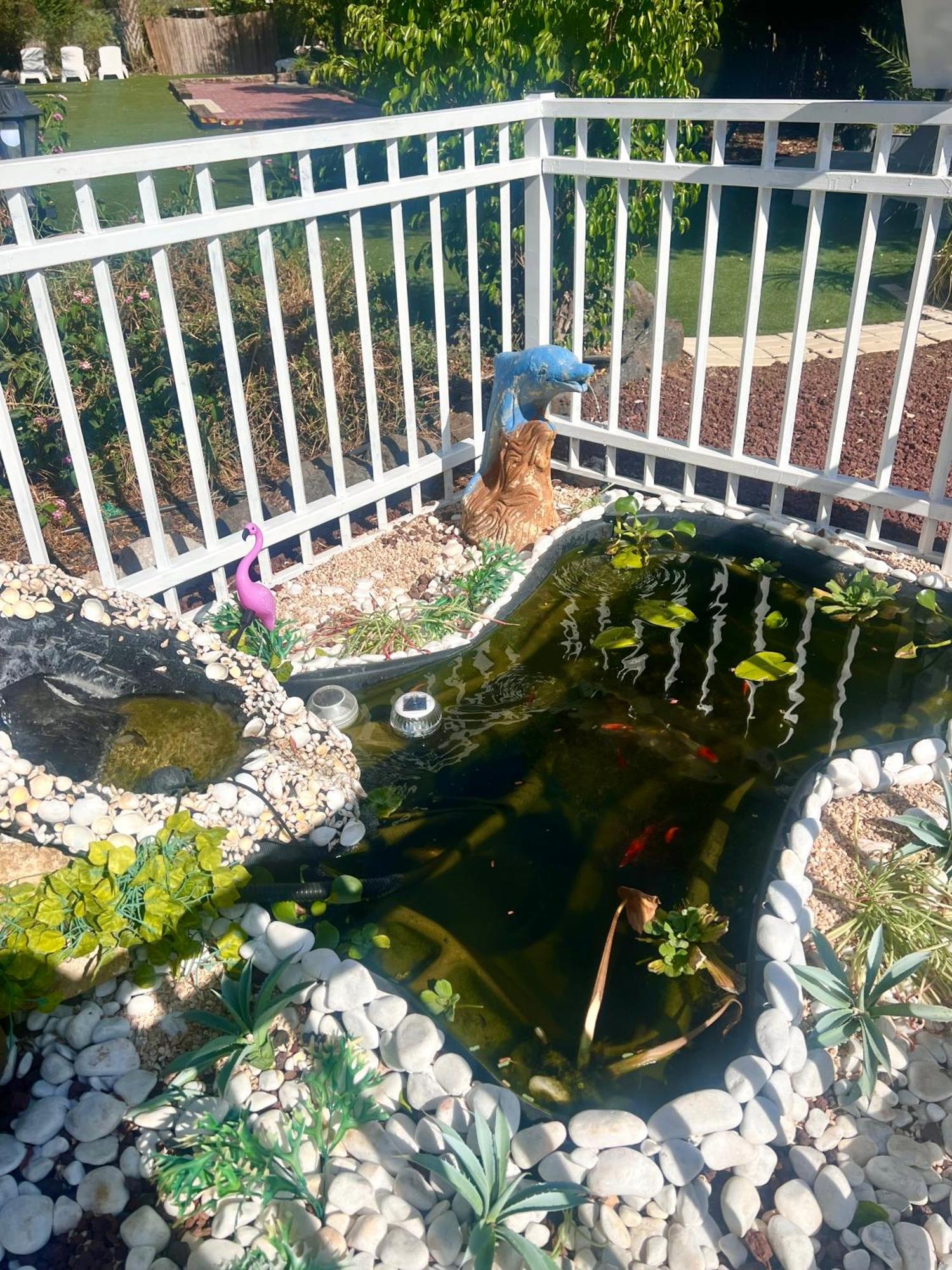 Motel Magical In The Galilee Kiryat Shmona Esterno foto